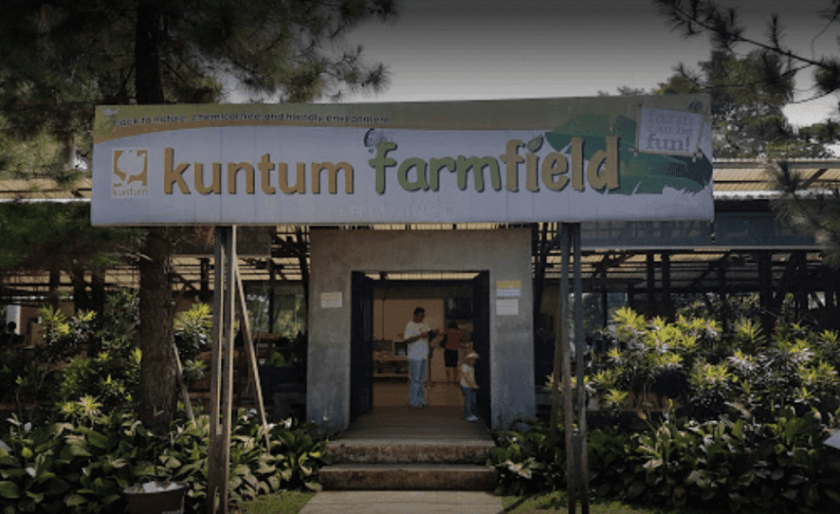 Kuntum Farmfield