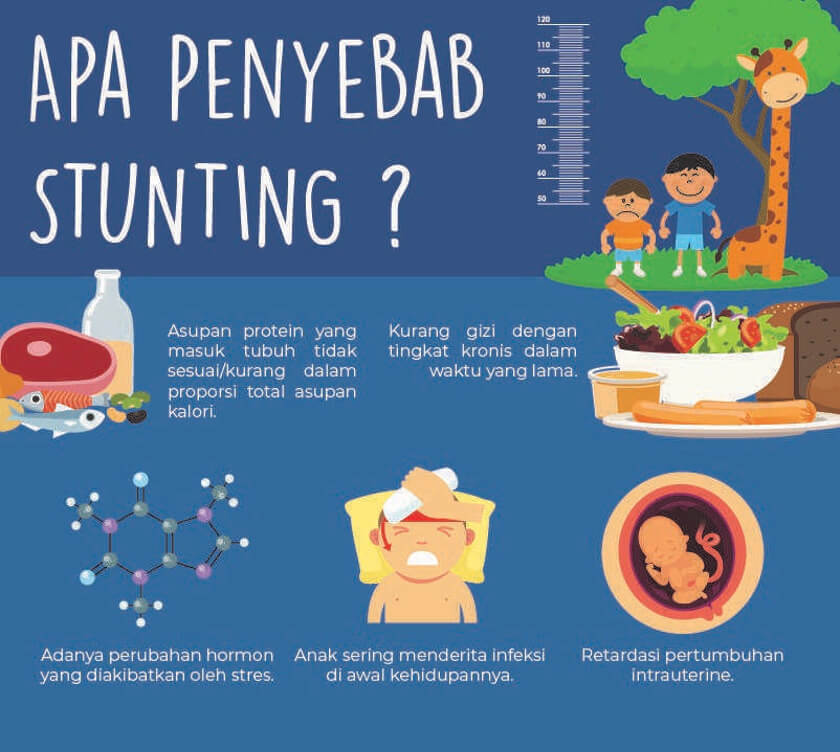 Penyebab Stunting pada anak