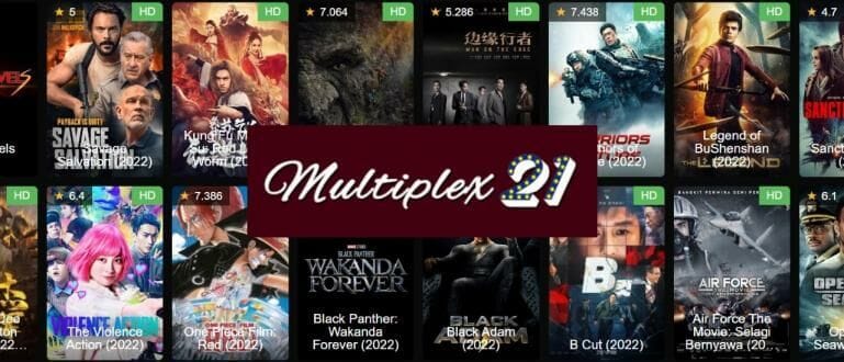 Fitur-fitur Multiplex21